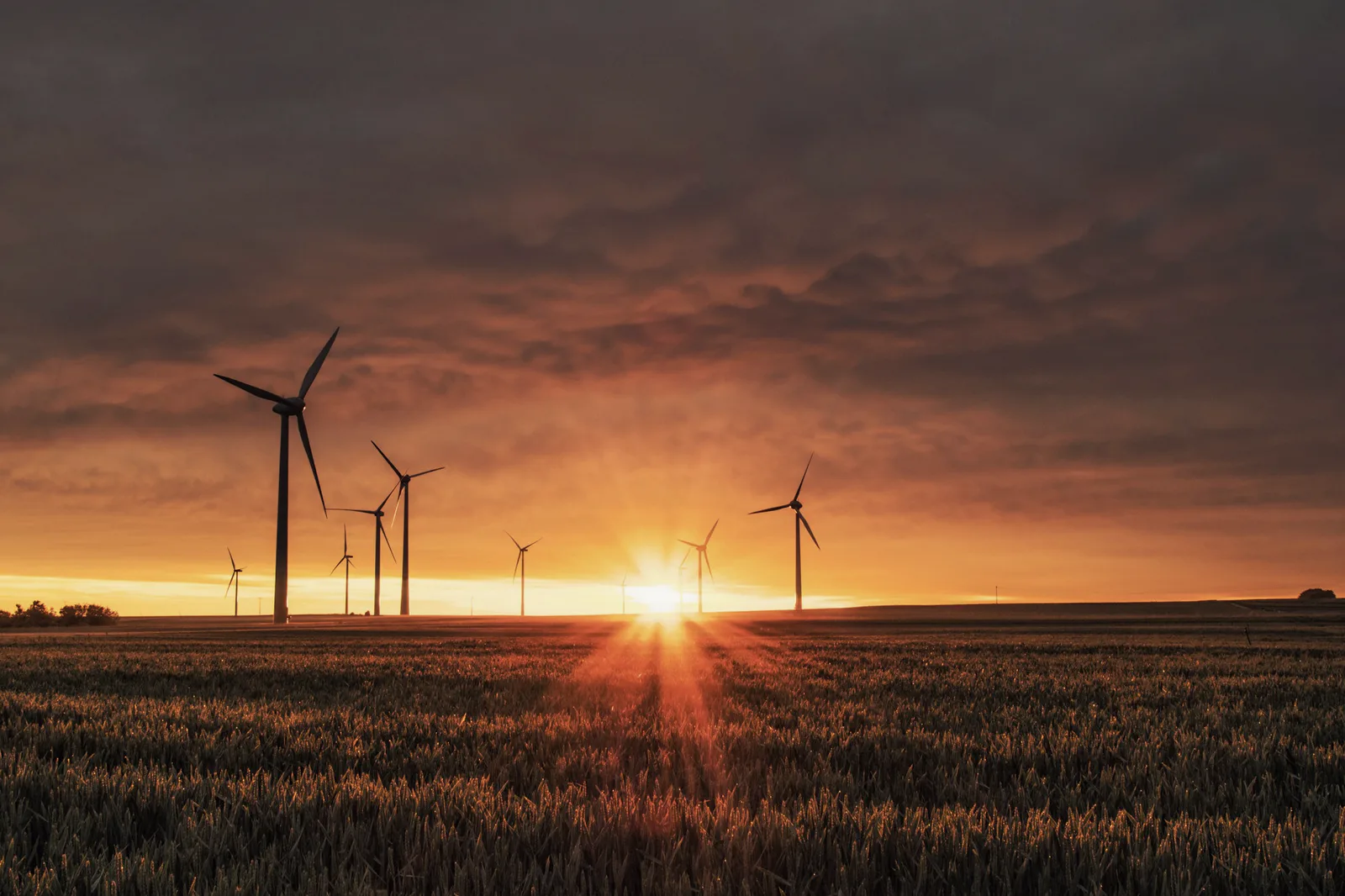 Carbon Footprint & Verification